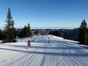 Gemakkelijke Alm-afdaling