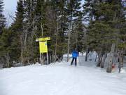 Toegang tot de vrijgemaakte bosafdalingen (Gladed Runs)