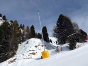 Lanzenbesneeuwing bij Buffaure