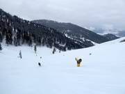 Afdalingen in de Sun Bowl