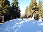Fun Park La Molina