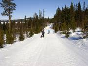 Verbindingsafdalingen door het bos
