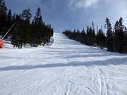 Moeilijke piste Komenten in Tandådalen