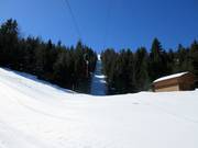 Gipfellift - Sleeplift met T-beugel/Ankerlift