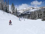 Makkelijke piste bij de stoeltjeslift Link