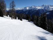 Gemakkelijke piste bij de Fleschenlift