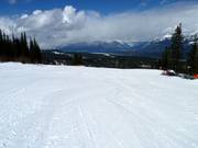 Breed, gemakkelijk en alleen voor beginners