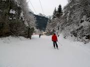 Dalafdaling naar Andalo