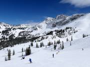 Piste bij de stoeltjeslift Sugarloaf