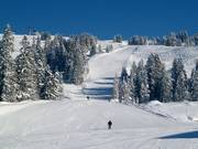 Afdaling Torlaufstrecke