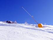 Sneeuwlans op de berg