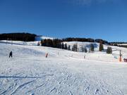Gemakkelijke skischoolpiste