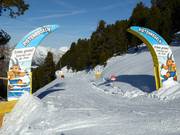 Pitzis Pistenregels-pad