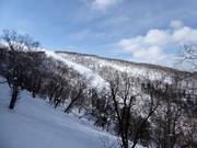 Uitzicht op de Heavenly Canyon