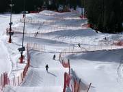 Tip voor de kleintjes  - Funcross Bergeralm