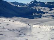 Veel ruimte voor freeriders