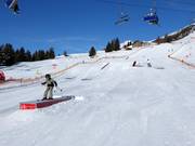 Sunsitepark Zettersfeld