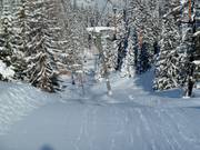 Faregg Lift - Sleeplift met T-beugel/Ankerlift