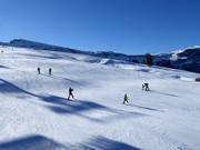 Gemakkelijke piste bij de stoeltjeslift Panorama