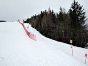 Olympialift - Sleeplift met T-beugel/Ankerlift