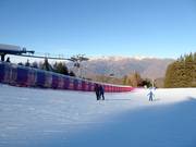 Oefenweide met transportband Palabione