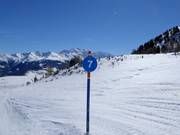 Piste-markering
