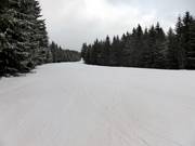 Vlakke verbindingsafdaling tussen Stübenwasenlift en Kapellenlift