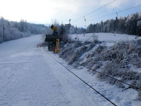 Familieskigebieden Opper-Pfalz – Gezinnen en kinderen Hohenbogen – Neukirchen bei Hl. Blut