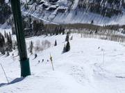 Kliffen bij de Lady Morgan Express