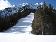 Brede en steile bosafdaling