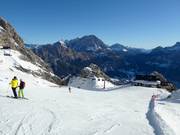 Piste nr. 36 Caprioli