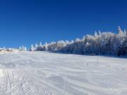Lichte en brede piste bij de Almwiesenlift