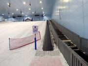 Ski Egypt 4 - Transportband/Moving Carpet