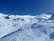 Freeridegebied op Mt. Hutt