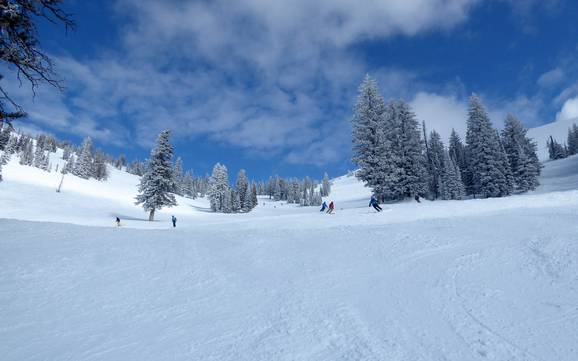 Pisteaanbod Teton Range – Pisteaanbod Grand Targhee