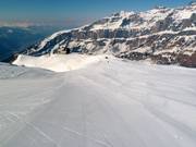 Goede pistepreparatie