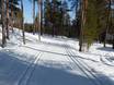 Langlaufen Oost-Finland – Langlaufen Pyhä