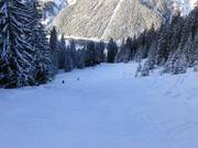 Dalafdaling Vermalen