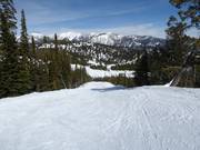 Afdaling Bobby's Runout