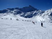 Transportband Tanatzhöhi