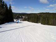 Gemakkelijke afdaling Târnbakken