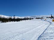 Gemakkelijke piste nr. 45