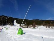 Lansbesneeuwing in het dalgebied