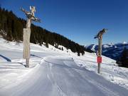 Tip voor de kleintjes  - KitzSki Bären Land