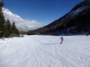 Brede, lichte piste richting Schlickeralm