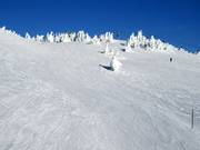 Crystal Run door de Crystal Bowl