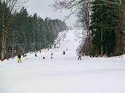 Uitzicht langs de parallellift en de eenpersoonsstoeltjeslift