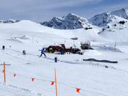 Gran Masta Park (GMP)