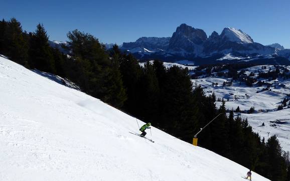 Skigebieden voor gevorderden en off-piste skiërs Seiser Alm – Gevorderden, off-piste skiërs Seiser Alm (Alpe di Siusi)