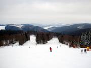 Lang uitgestrekt: de noordhelling van de Hunau